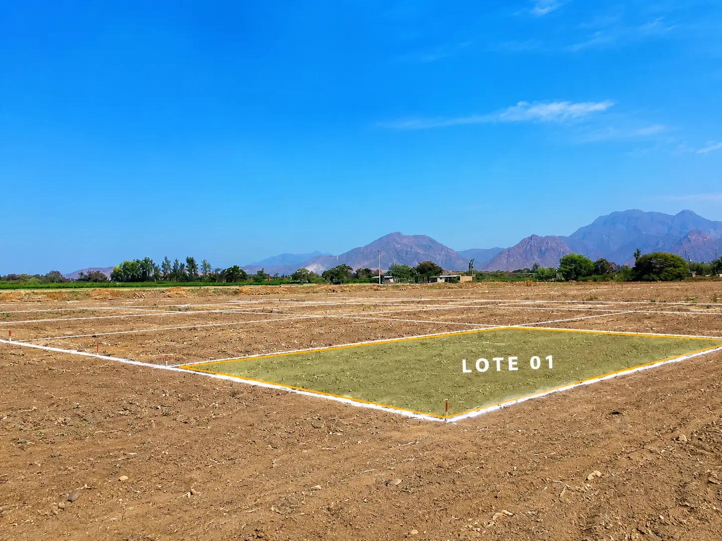 Proyecto de lotes en Pacanguilla